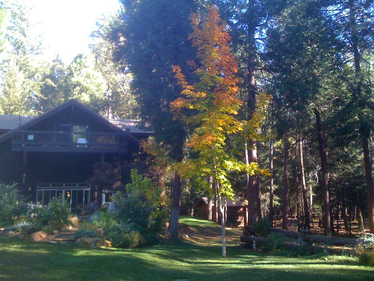 Harmony Ridge Lodge Nevada City Dış mekan fotoğraf