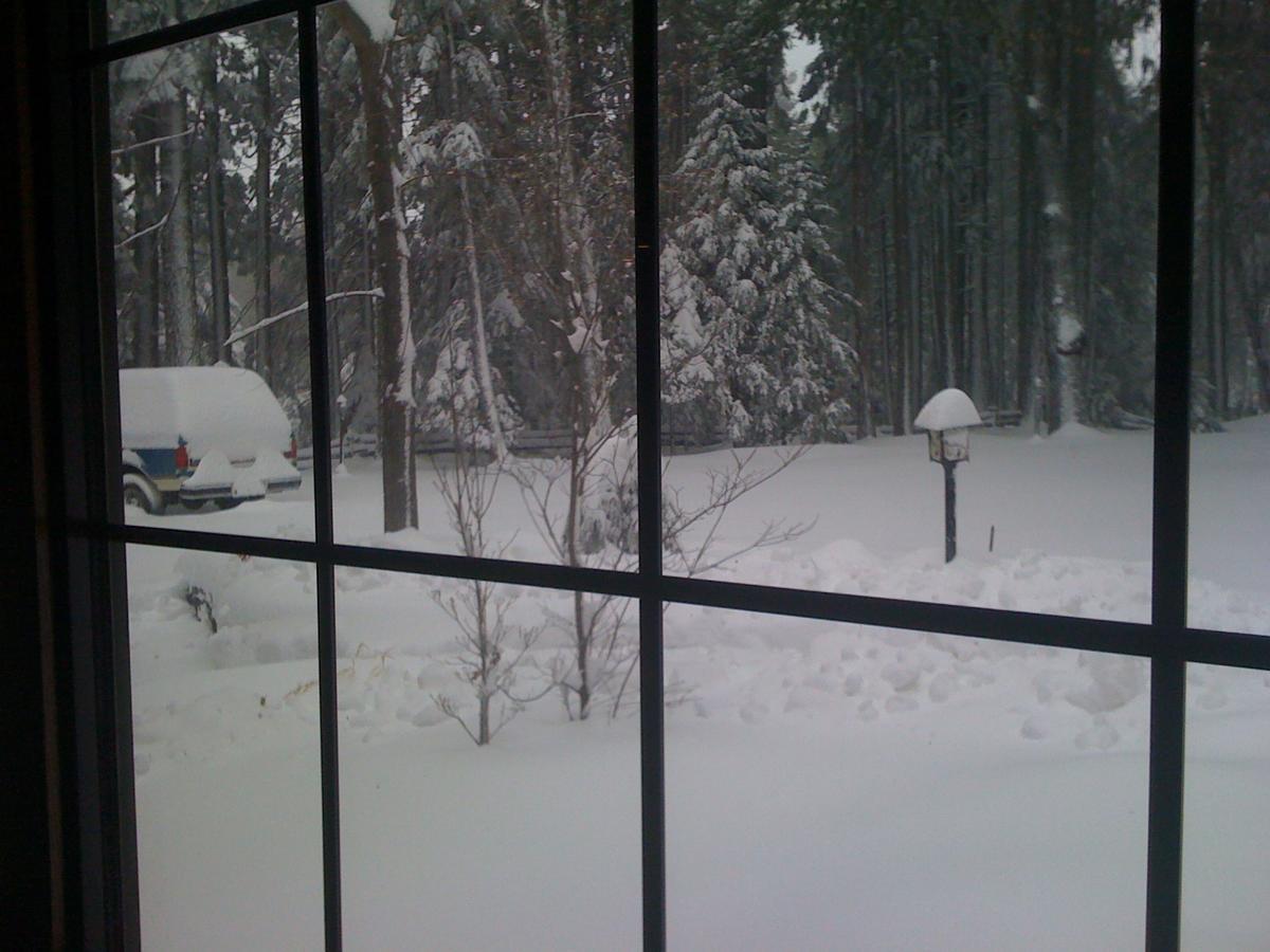Harmony Ridge Lodge Nevada City Dış mekan fotoğraf