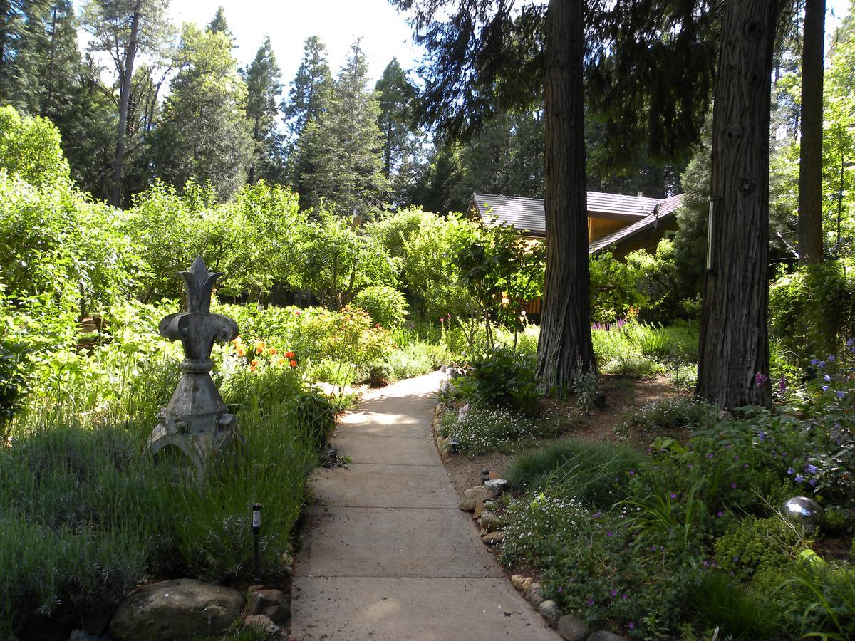 Harmony Ridge Lodge Nevada City Dış mekan fotoğraf